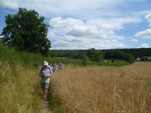 Chilterns walk